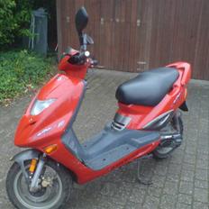 Adly Thunderbike Totalskadet