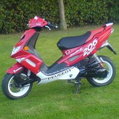 Peugeot Speedfight 2 206 WRC 