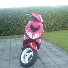 Peugeot Speedfight 2 206 WRC 