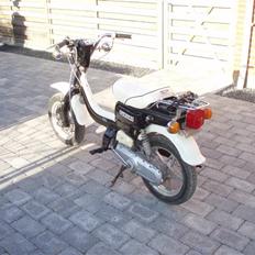 Suzuki Fz 50 ( BYTTET T. PEUGEOT