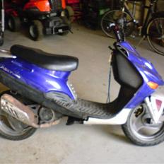 Adly silver fox  SOLGt