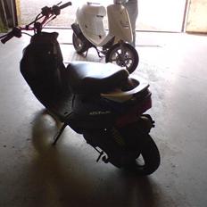 Adly silver fox  SOLGt