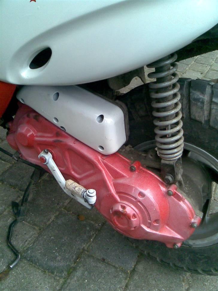 Gilera stalker - RØDT MED SMÅ HVIDE PLETTER SER FEDT UD TÆT PÅ billede 5