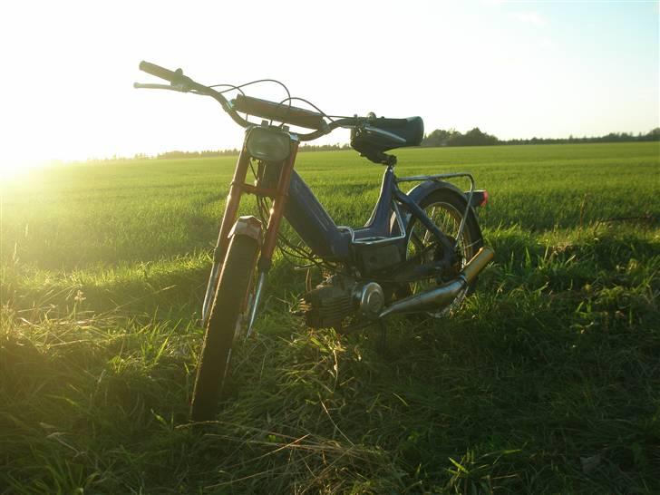 Puch maxi k projekt SOLGT billede 11