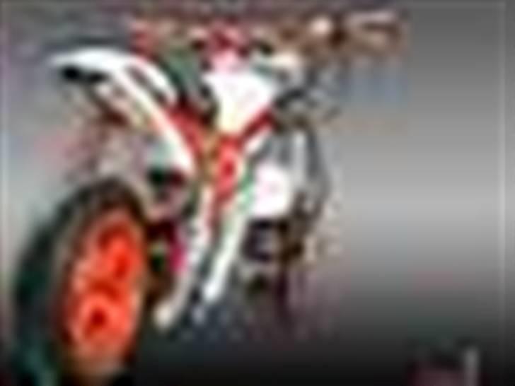 Suzuki Street Magic Solgt - Wheels of fame vinder 2006 billede 14