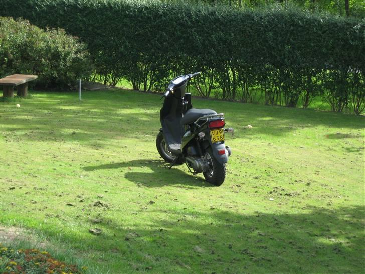 PGO Hot 50 billede 6