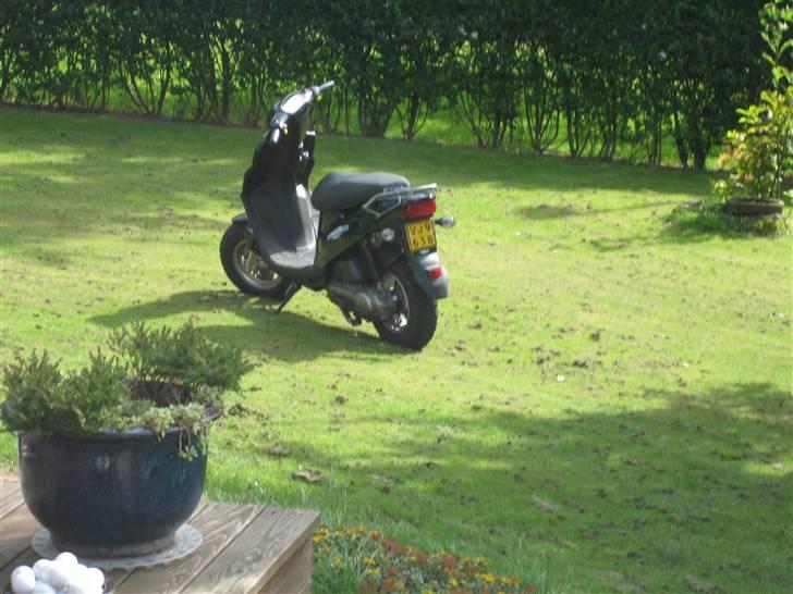 PGO Hot 50 billede 8