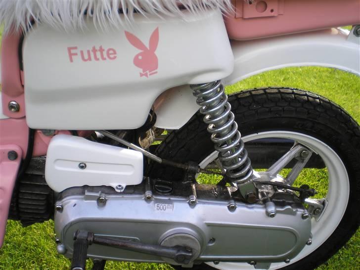 Suzuki Fz 50 billede 8