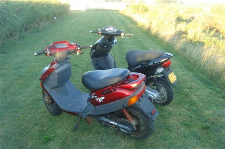 Adly super sonic solgt billede 5