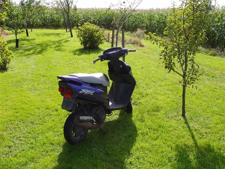 Honda SFX (BYTTET) - nypoleret uds. billede 11