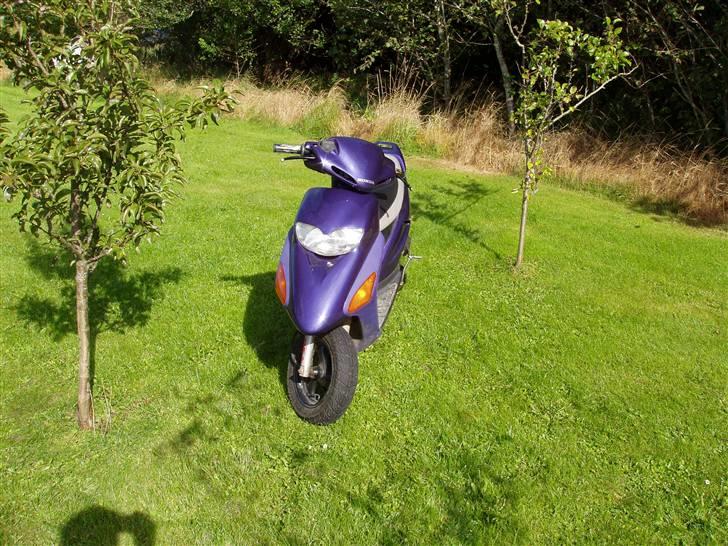 Honda SFX (BYTTET) - ny front :D... Dejligt billede 12