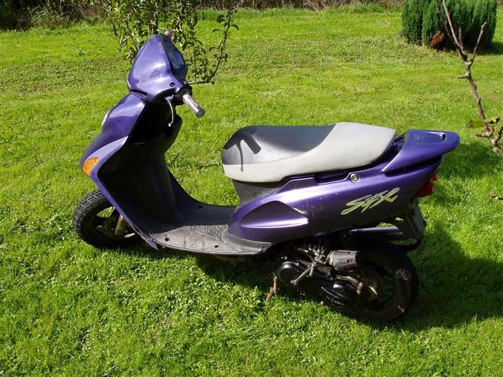 Honda SFX (BYTTET) - dejligt.. den skinner billede 13