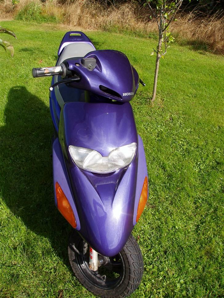 Honda SFX (BYTTET) - den dejlige lilla farve skinner i solen på en herlig dag :D billede 14