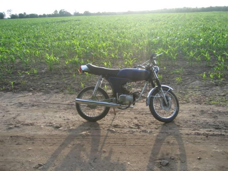 Yamaha fs1 til salg byd billede 6