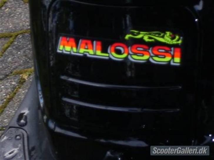 PGO hot 50(hotti) (solgt) ;'( billede 4