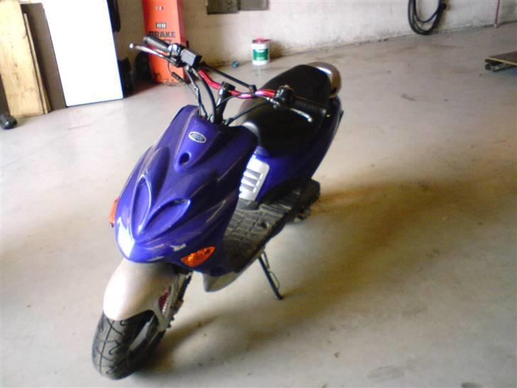 Adly silver fox  SOLGt billede 1