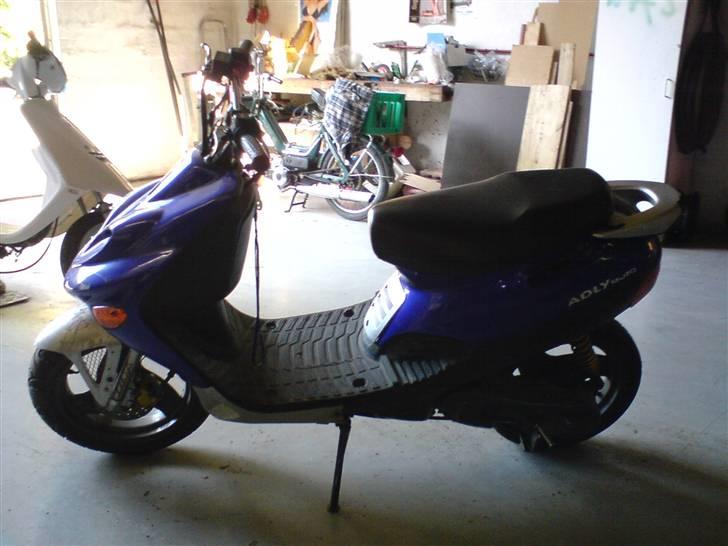 Adly silver fox  SOLGt billede 4