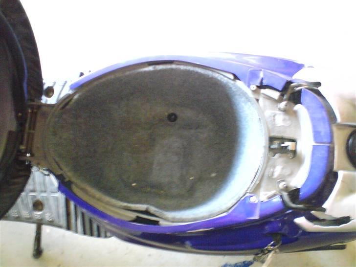 Adly silver fox  SOLGt billede 5