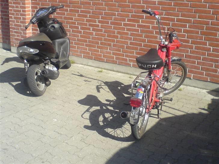 Puch maxi k solgt! - mig og min vens sonic i ALTA billede 19