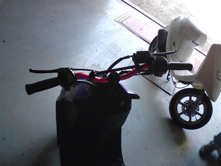 Adly silver fox  SOLGt billede 6