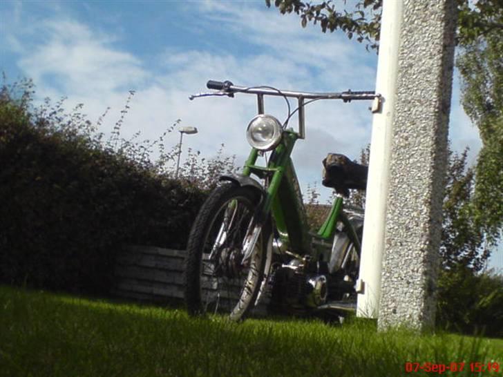 Puch Maxi K - Nice billede synes jeg selv ! billede 5