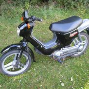 Honda Wallaroo