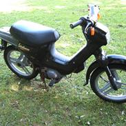 Honda Wallaroo