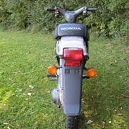 Honda Wallaroo