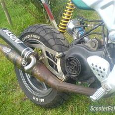 Suzuki streetmagic byttet 