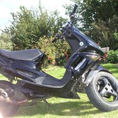 Aprilia Rally *PROJECT*