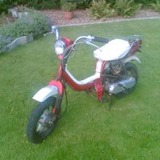 Suzuki FZ 50