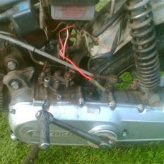 Suzuki FZ 50
