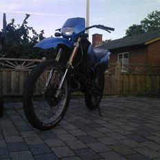 Suzuki RMX ( SOLGT )