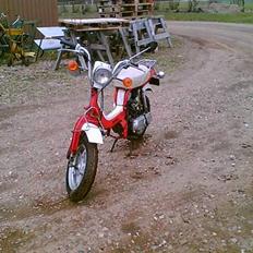 Suzuki  FZ 50 >solgt<