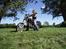 Kinroad chopper