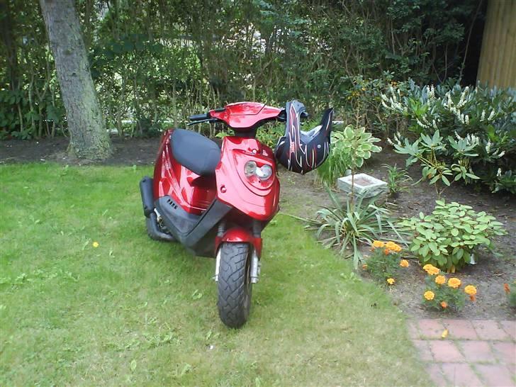 PGO Hot50 billede 13