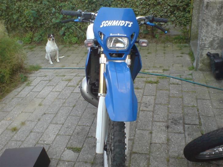 Suzuki rmx billede 5
