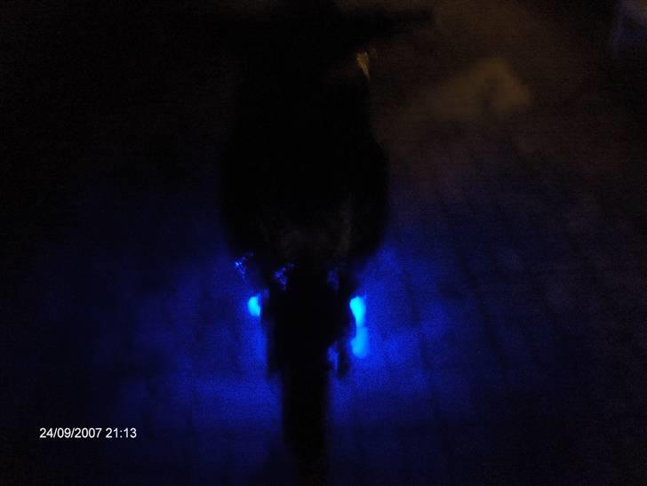 Yamaha Jog R  (Solgt) - Dioder billede 16