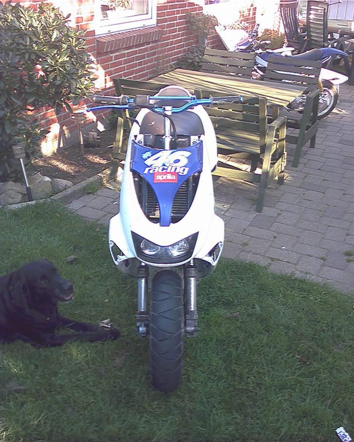 Aprilia Sr 50 LC DD (TS Projekt) billede 6