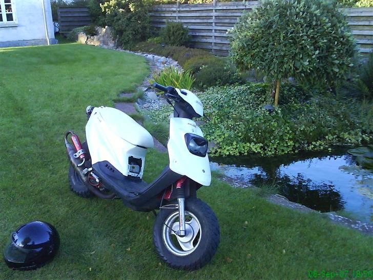 PGO hot 50 billede 6