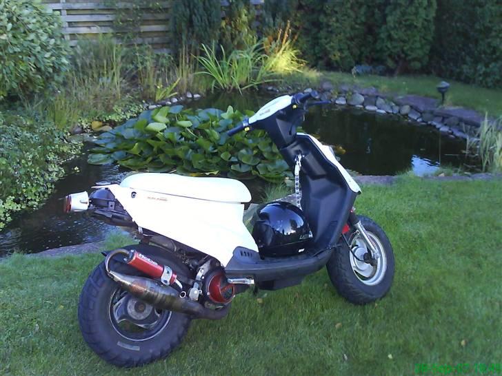 PGO hot 50 billede 9