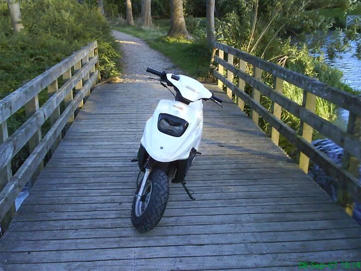 PGO hot 50 billede 12