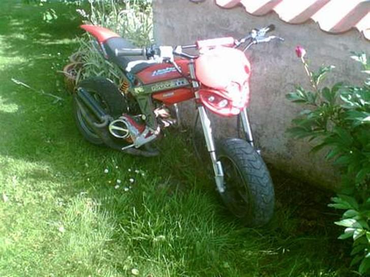 Suzuki street magic - gammel billede billede 6