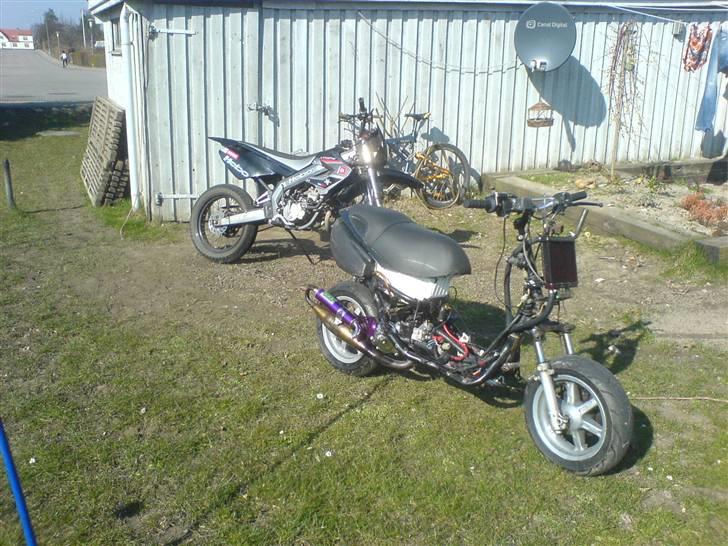 Benelli 491 st lc evo tilslag billede 13