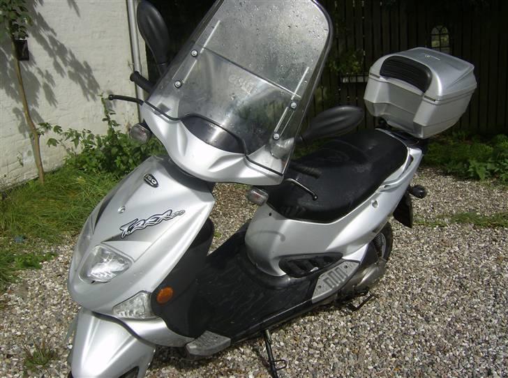 PGO T-REX  billede 1