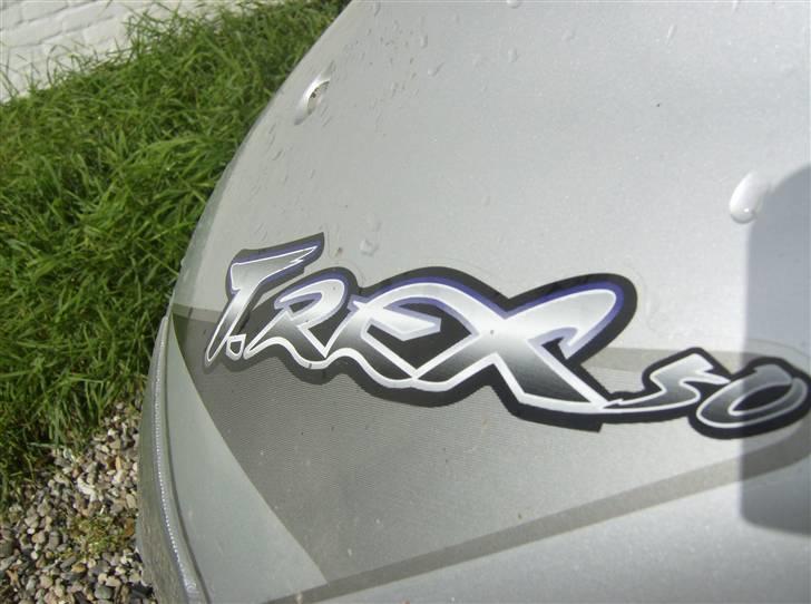 PGO T-REX  billede 6