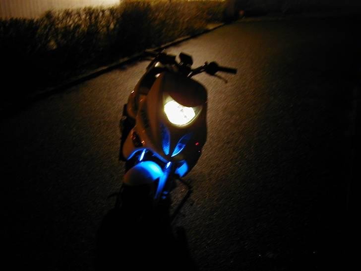 Adly Thunderbike (Fie) billede 14