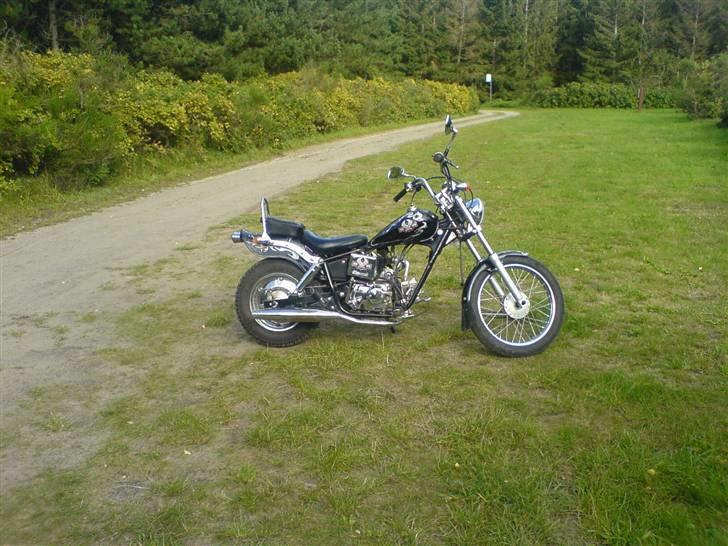 Regal Raptor - SOLGT billede 1