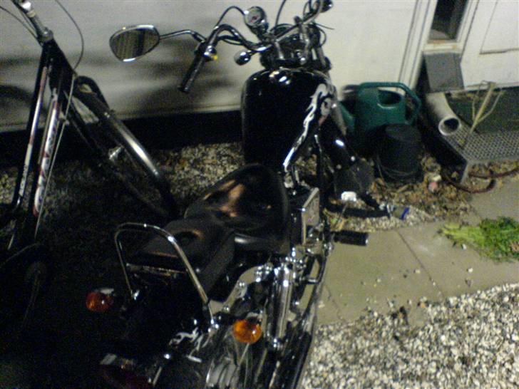 Regal Raptor - SOLGT billede 2