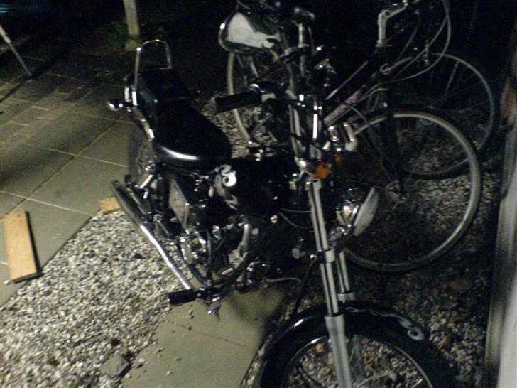 Regal Raptor - SOLGT billede 3